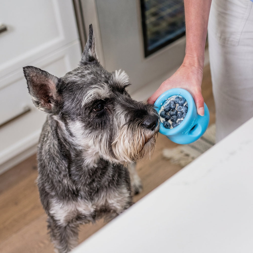 West Paw Toppl Treat Toy